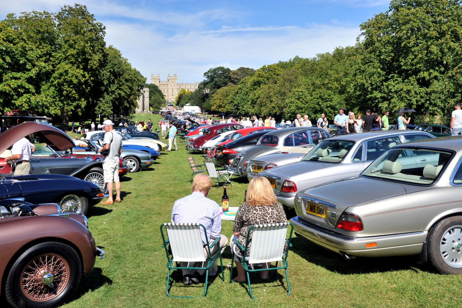 Jaguars at Concours of Elegance