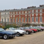 Aston Martins at Concours of Elegance