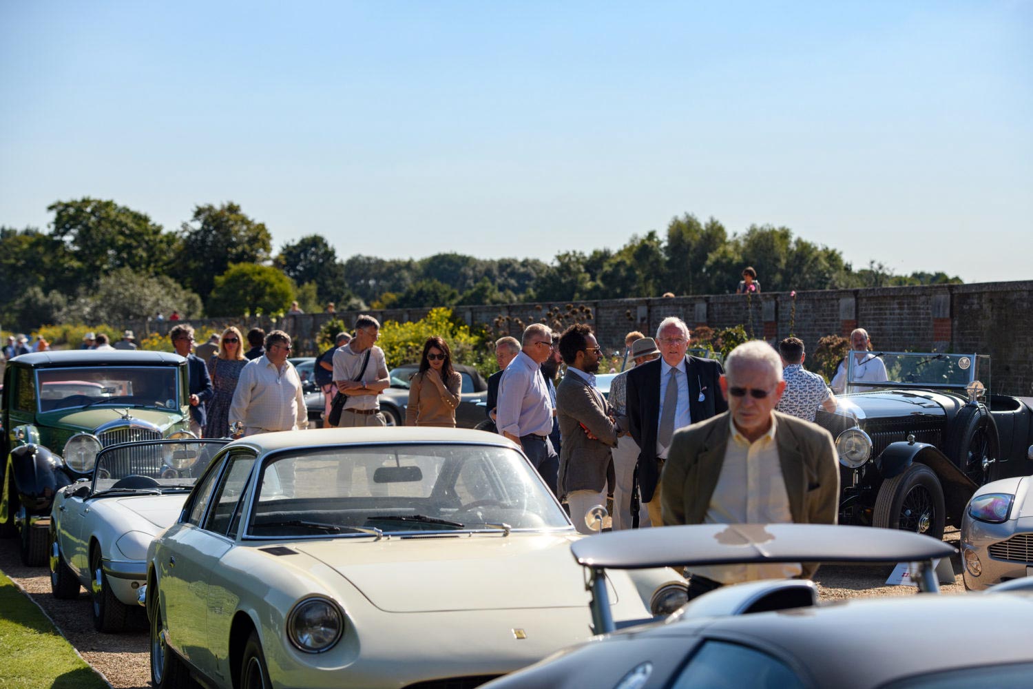 Concours of Elegance