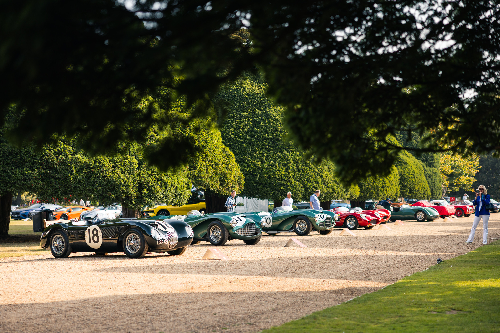 53988604693 0af4207248 k